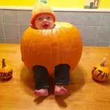 Parlee Farms Pumpkin Picking Hayride & Fun Activities photo