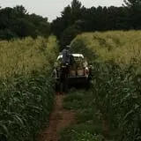 Parlee Farms Pumpkin Picking Hayride & Fun Activities photo