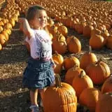 Parlee Farms Pumpkin Picking Hayride & Fun Activities photo