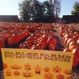 Parlee Farms Pumpkin Picking Hayride & Fun Activities photo