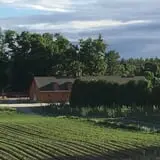 Parlee Farms Pumpkin Picking Hayride & Fun Activities photo