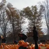 Parlee Farms Pumpkin Picking Hayride & Fun Activities photo