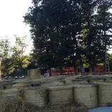 Parlee Farms Pumpkin Picking Hayride & Fun Activities photo