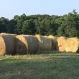 Parlee Farms Pumpkin Picking Hayride & Fun Activities photo