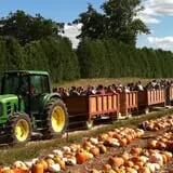 Parlee Farms Pumpkin Picking Hayride & Fun Activities photo