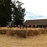 Parlee Farms Pumpkin Picking Hayride & Fun Activities photo