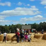 Parlee Farms Pumpkin Picking Hayride & Fun Activities photo