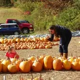 Parlee Farms Pumpkin Picking Hayride & Fun Activities photo