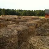 Parlee Farms Pumpkin Picking Hayride & Fun Activities photo
