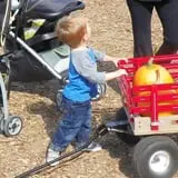 Parlee Farms Pumpkin Picking Hayride & Fun Activities photo