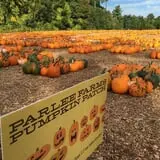 Parlee Farms Pumpkin Picking Hayride & Fun Activities photo