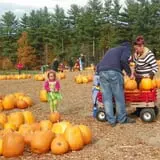 Parlee Farms Pumpkin Picking Hayride & Fun Activities photo