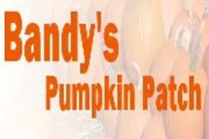 Bandy's Pumpkin Patch