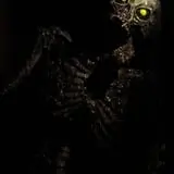 Skelly