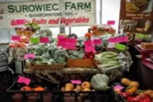Surowiec Farm