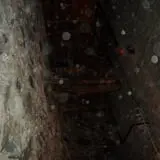 Bats in the Belfry Ghost Tours photo