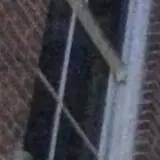 Bats in the Belfry Ghost Tours photo