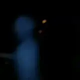Bats in the Belfry Ghost Tours photo