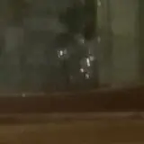 Bats in the Belfry Ghost Tours photo