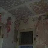 Bats in the Belfry Ghost Tours photo