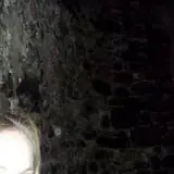 Bats in the Belfry Ghost Tours photo