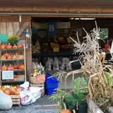 Stutzman's Farm Stand & Brick Oven Cafe photo