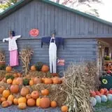 Stutzman's Farm Stand & Brick Oven Cafe photo