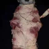 Dead Whispers photo