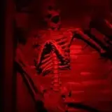 Dead Whispers photo