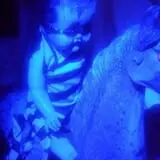 Dead Whispers photo