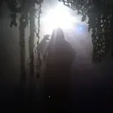 Dead Whispers photo