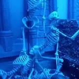 Dead Whispers photo