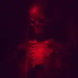 Dead Whispers