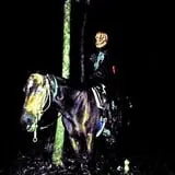 Psycho Path Haunted Attraction photo