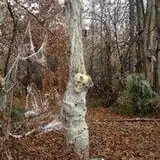 Psycho Path Haunted Attraction photo