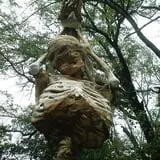 Psycho Path Haunted Attraction photo