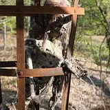 Psycho Path Haunted Attraction photo