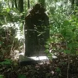 Psycho Path Haunted Attraction photo