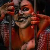 Haunt Apokalypse: Kingdom Of Shadows
