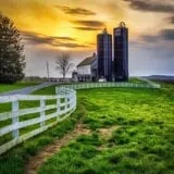 Bellvale Farms photo