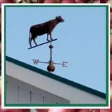 Bellvale Farms photo