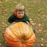 Bellvale Farms photo