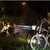 Halloween on S. Lime Ave photo
