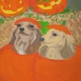 Piedmont Avenue Pumpkin Patch photo