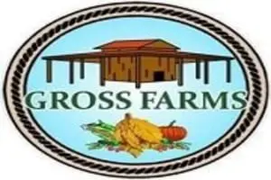 Gross Farms Corn Maze, Pumpkin Patch & Zombie Run