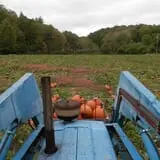 Doe Run Farm photo