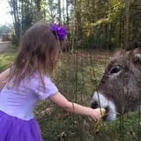 Doe Run Farm photo