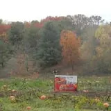 Doe Run Farm photo