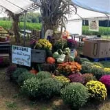 Doe Run Farm photo
