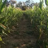 Doe Run Farm photo